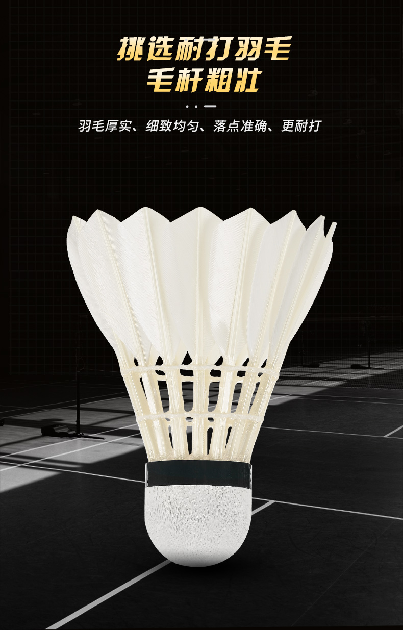 New 12PCS Professional Badmint - огляд і ціна Badminton Victor