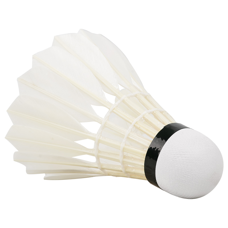 New 12PCS Professional Badmint - огляд і ціна Badminton Victor