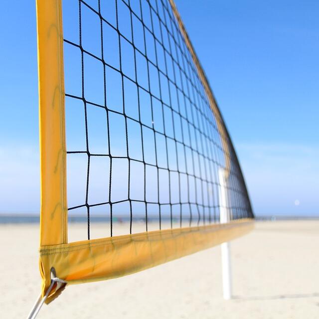 Multi-Purpose Knotted Sports N - огляд і ціна Badminton Netting